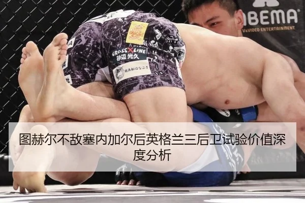 tu-he-er-bu-di-sai-nei-jia-er-hou-ying-ge-lan-san-hou-wei-shi-yan-jia-zhi-shen-du-fen-xi-2-302.jpg